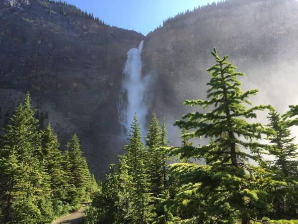 Takakkaw Falls in Yoho Natio<em></em>nal Park in British Columbia. One person has died after they fell into the water at the popular tourist spot.