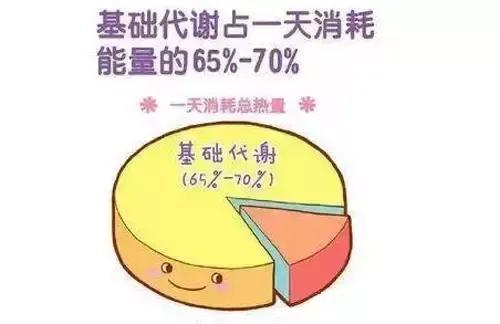 震动减肥腰带有坏处吗_加热震动减肥腰带有什么危害_减肥加热震动腰带多少钱