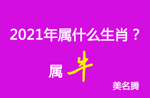 属牛2024年是什么命_属牛的在2024年的运程是怎么样_属牛的2024年运势如何